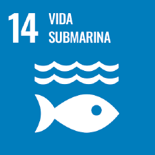 Objetivo de Desarrollo Sostenible 14 - Vida submarina - Cumbre Internacional del Agua
